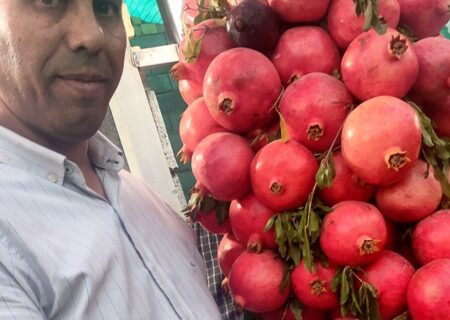 زارع دبیر جشنواره انار فاروق از اشتغال زایی ۴۰۰نفر بصورت مستقیم در این جشنواره خبر داد