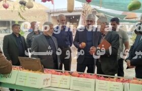 بازدید مدیر کل سازمان جهاد کشاورزی استان فارس از جشنواره انار فاروق