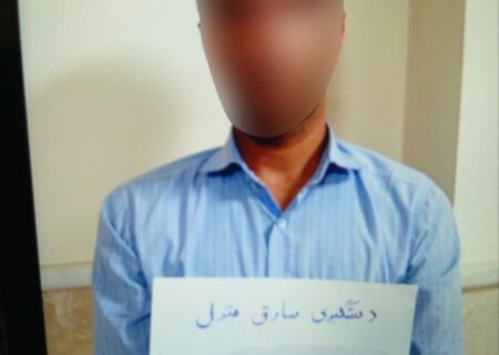 فرمانده انتظامی شهرستان مرودشت از دستگیری سارقان طلای خانگی و کشف تجهیزات حفاری غیر مجاز در مرودشت سخن گفت