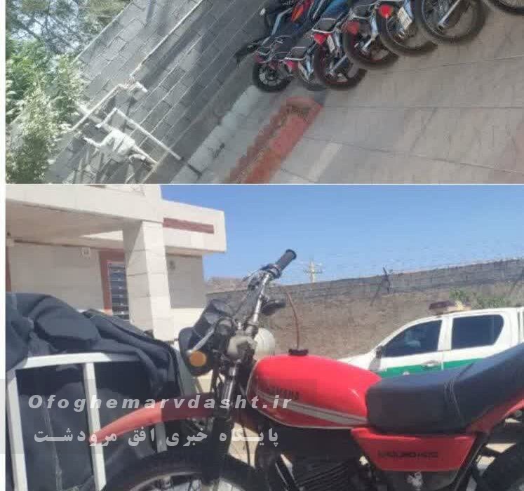 فرمانده انتظامی مرودشت از توقف نیسان حامل احشام و اجرای طرح امنیت اجتماعی در مرودشت خبر داد