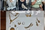 فرمانده انتظامي مرودشت از دستگيري سارقان خانوادگی ،عامل سرقت اماکن دولتی در مرودشت خبر داد 