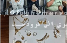 فرمانده انتظامي مرودشت از دستگيري سارقان خانوادگی ،عامل سرقت اماکن دولتی در مرودشت خبر داد 
