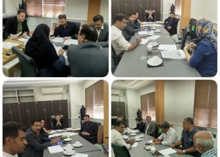  معاون فرمانداری مرودشت برتسریع در رفع موانع تولید و حمایت از استمرار فعالیت واحدهای صنعتی تأکید کرد 