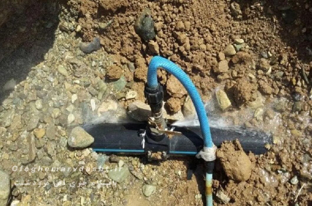 مدیرعامل شرکت توزیع نیروی برق شیراز شناسایی ۸۶ انشعاب غیرمجاز برق در مرودشت خبر داد
