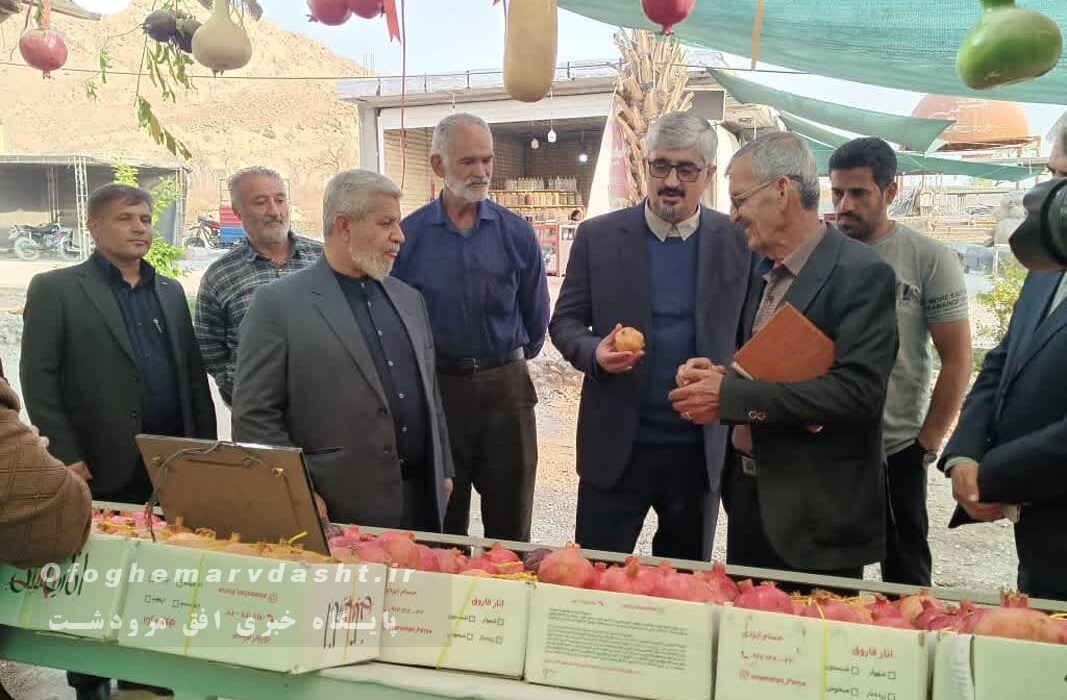 بازدید مدیر کل سازمان جهاد کشاورزی استان فارس از جشنواره انار فاروق