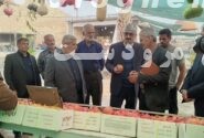 بازدید مدیر کل سازمان جهاد کشاورزی استان فارس از جشنواره انار فاروق