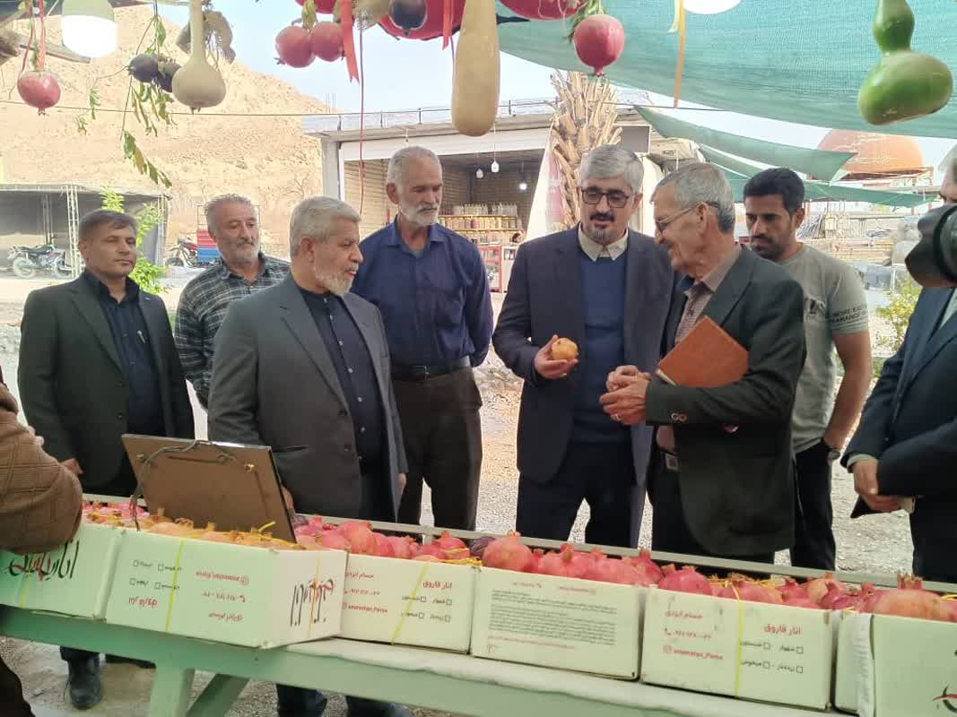 بازدید مدیر کل سازمان جهاد کشاورزی استان فارس از جشنواره انار فاروق