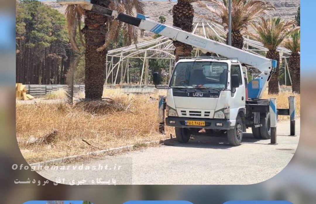 هرس درختان نخل پردیس تخت جمشید با همکاری شهرداری مرودشت انجام شد