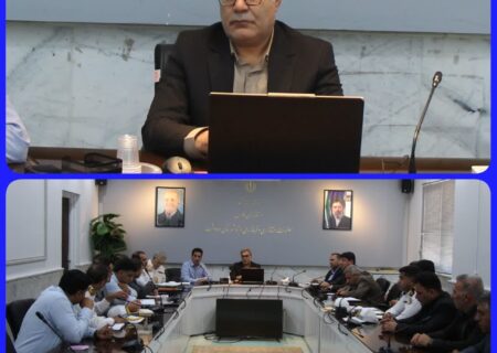 اجرای ممنوعیت تردد کامیون‌ها در سطح شهر و اعمال طرح پارک ممنوع در خیابان اصلی
