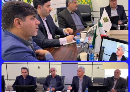 فرماندار مرودشت گفت: تقویت بیمه کشاورزی ضامن پایداری و تولید و امنیت غذایی است